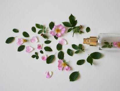 Bei Asambeauty Parfum-Inspiration finden