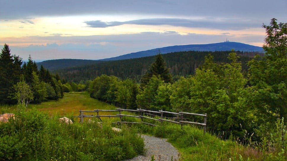 Wandern im Harz: der Brocken im Hintergrund