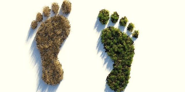 Ökologischer Fußbadruck