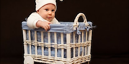 Kinderwagen und andere Transportmöglichkeiten bei babywalz