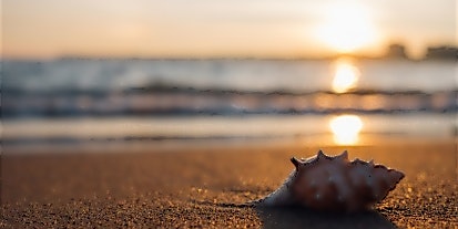 Urlaub, Reisen tui.ch