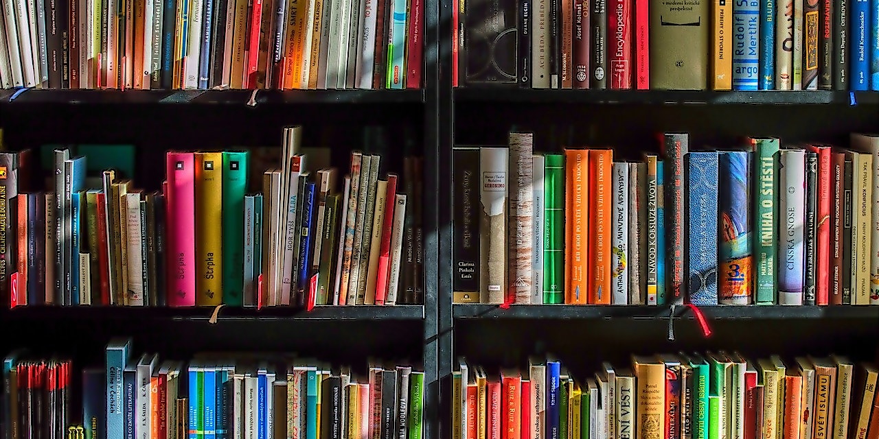 Springer Shop Gutschein Bücherregal mit Büchern