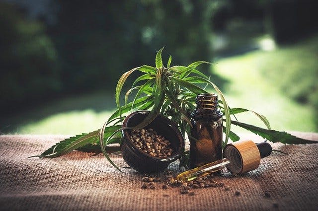 Hanf Pflanze, Samen und Pipette
