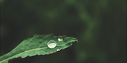 produkt bild
