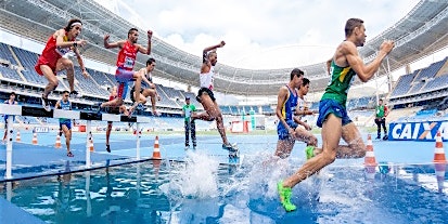 Sportbekleidung und Sportausrüstung nach Sportarten bei SportScheck