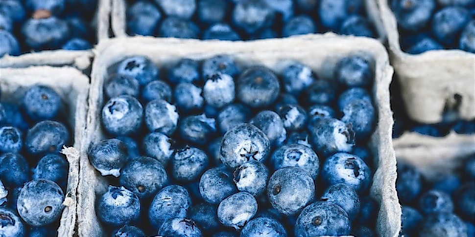 Leicht und schmackhaft - reife Heidelbeeren sind ideal für die Sommerküche Leicht und schmackhaft - reife Heidelbeeren sind ideal für die Sommerküche