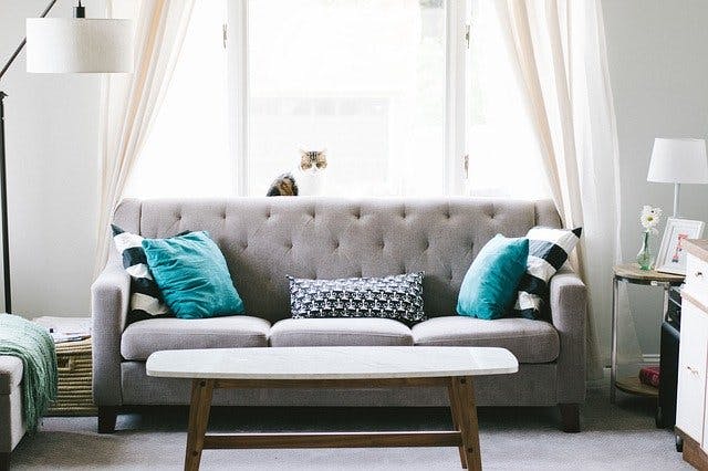 Couch in Wohnzimmer mit Lampen, Kissen und Katze vor Fenster.